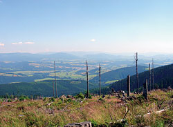 Výhled na Moravu z Kralického Sněžníku