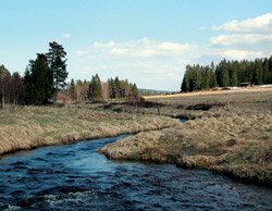 Hamerský (Kvildský) potok