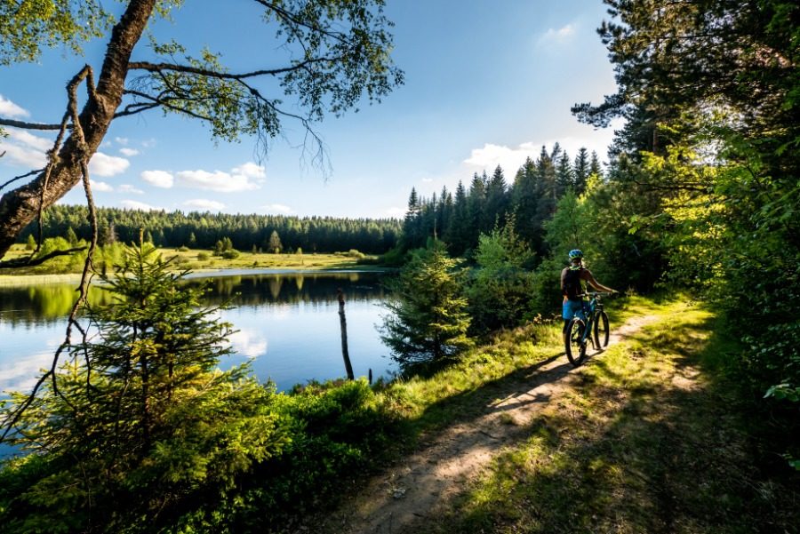 Velo 7-8/2017 - Zapomenuté příběhy baroka - Lipno