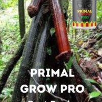 Get Massive Penis Size With Congo Dust In Cipressa Comune in Italy Call ☏ +27710732372 Buy Herbal Pe