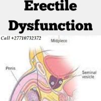 Premature Ejaculation And Weak Erection Products In Mons City in Belgium Call ☏ +27710732372 Penis E
