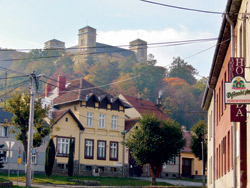 Zámek v Rakovicích