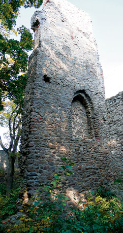 Věž zříceniny hradu Choustník