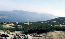 Zleva – Labská louka a bouda, Labský důl, Luční a Studniční Hora