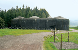 Pevnost Stachelberg