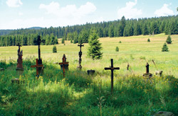 Hřbitov v Pohoří na Šumavě