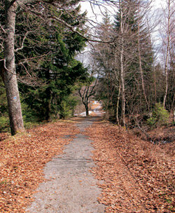 Cestička u Bučiny