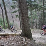 Strážovské vrchy, Trenčin