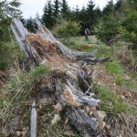 Strážovské vrchy, Trenčin